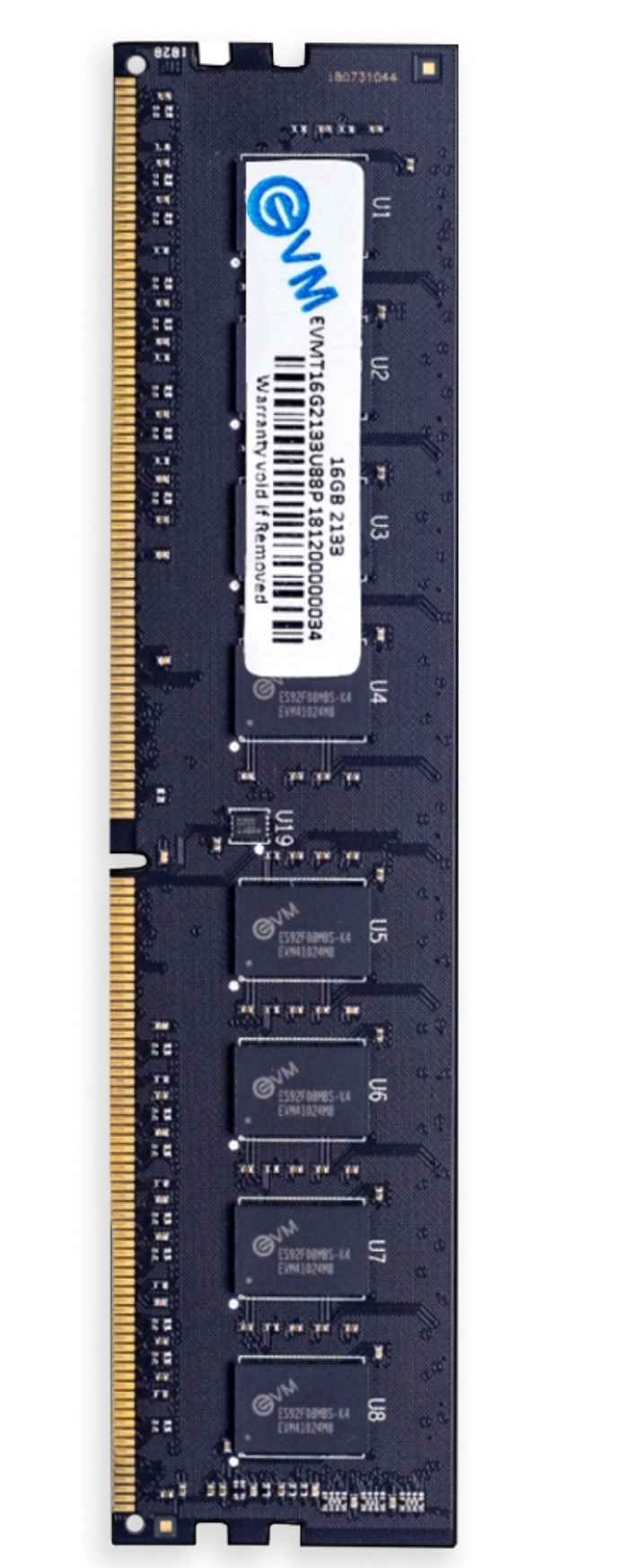 EVM 16 GB DDR4 2133 UDIMM (EVMT16G2133U88P)