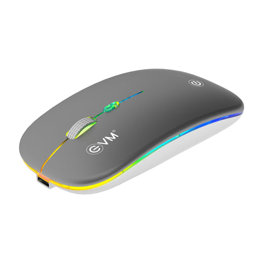 
EVM Wireless Rechargeable Mouse Engrip (EWLM-360)