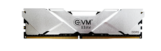 
EVM 32GB DDR5 5600 MHZ UDIMM