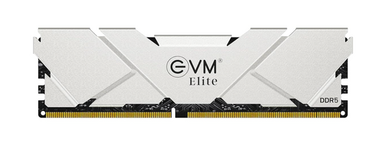 
EVM 16GB DDR5 5600 MHZ UDIMM