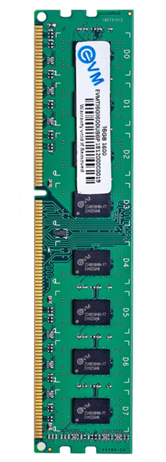 
EVM 16GB DDR3 1600 MHZ Desktop