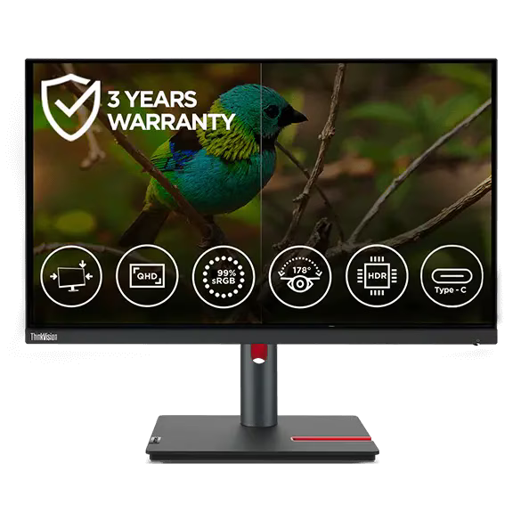 
Lenovo ThinkVision P24h-30 60.45cms (23.8) Monitor (63B3GAR6WW)