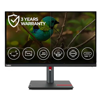 Lenovo ThinkVision P24h-30 60.45cms (23.8) Monitor (63B3GAR6WW)