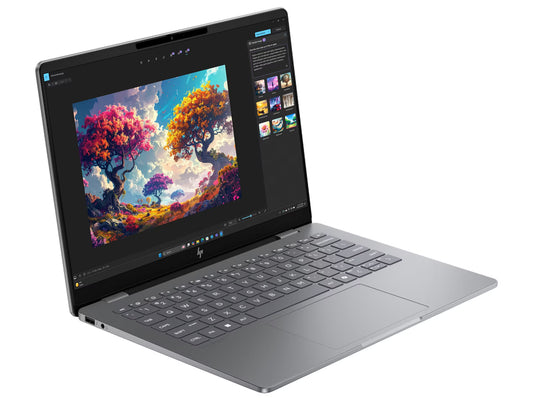 
HP Omnibook 7 AI 14-fr0789TU - Intel Core Ultra 5 225H (14C) 13 NPU TOPs, 16GB 7467 LPDDR5 on-board, 1TB, Meteor Silver