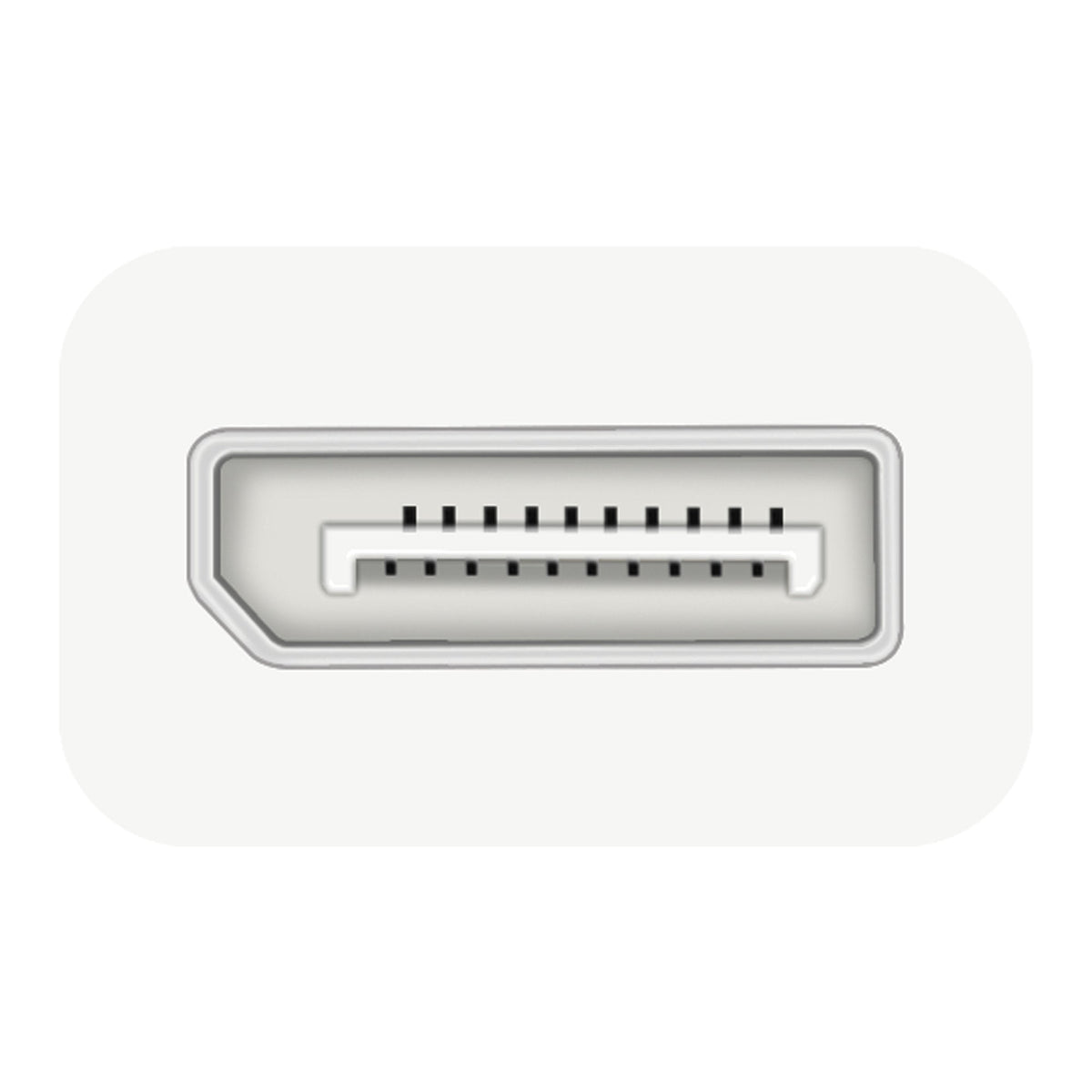 
j5create USB™ Type-C to 4K DisplayPort™ Adapter (JCA140)
